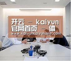 研发能力标题二