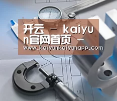研发能力标题一