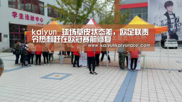 kaiyun-球场草皮状态差，欧足联责令热刺赶在欧冠赛前修复