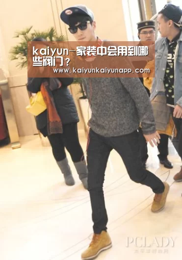 kaiyun-家装中会用到哪些阀门？