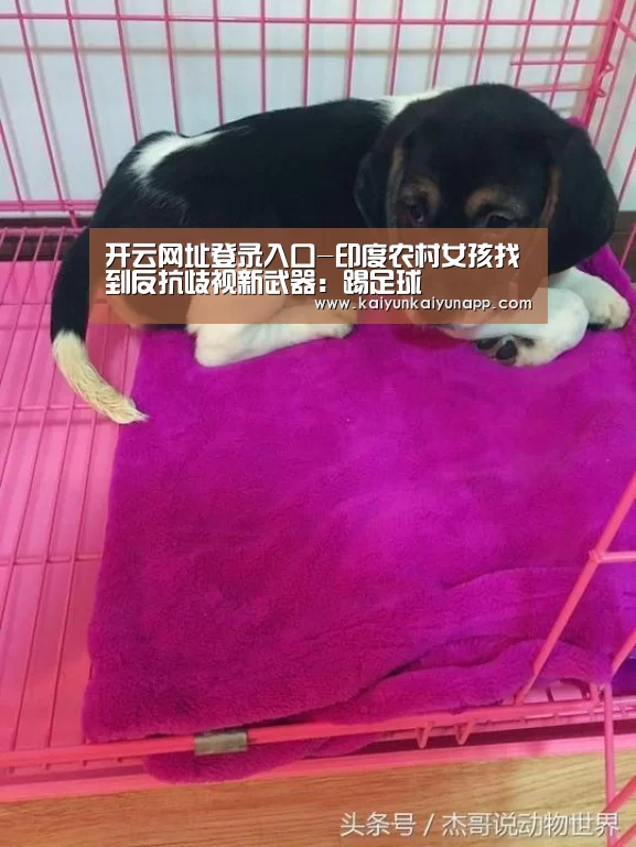 开云网址登录入口-印度农村女孩找到反抗歧视新武器：踢足球