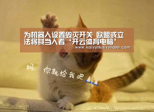 为机器人设置毁灭开关 欧盟或立法将其当人看‘开云体育电脑’