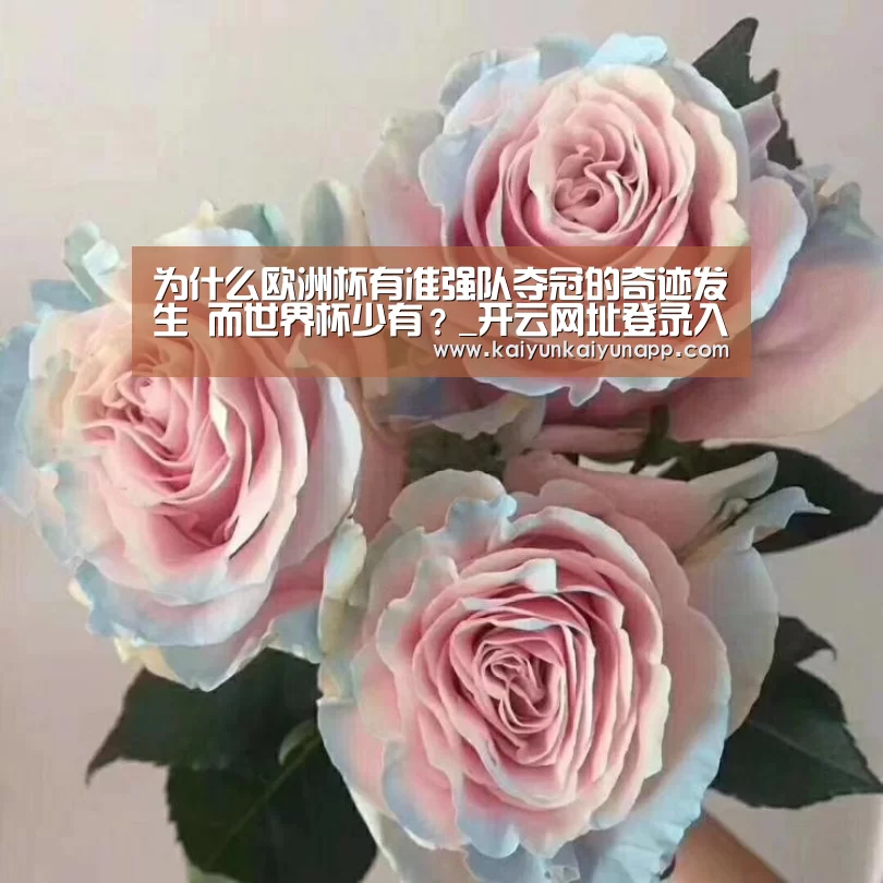 开云网址登录入口